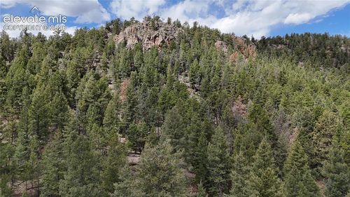 4943 County Road 11, Florissant, CO, 80816-8912 | Card Image