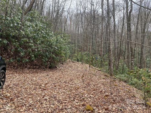 Lot 2 Lake Ridge Lane, Topton, NC, 28781 | Card Image