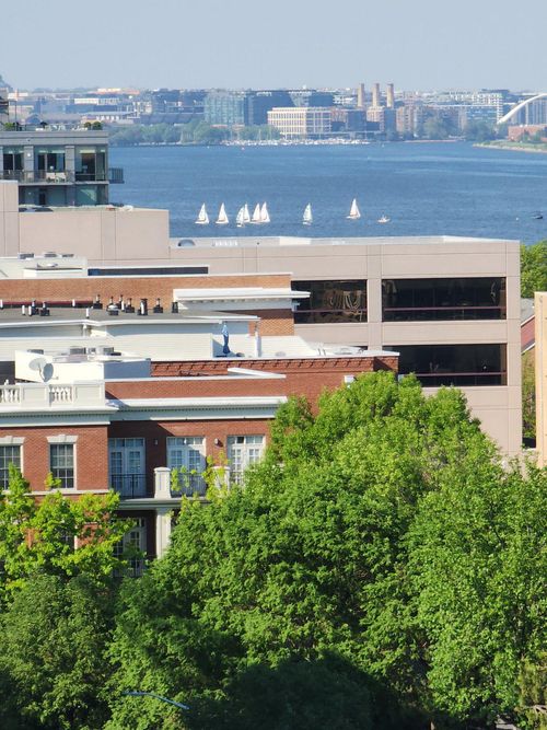1007-400 Madison St, ALEXANDRIA, VA, 22314-1751 | Card Image