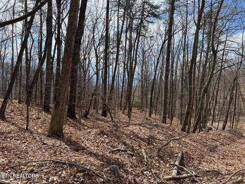 0 Swann Saddle Rd, Sevierville, TN, 37876 | Card Image