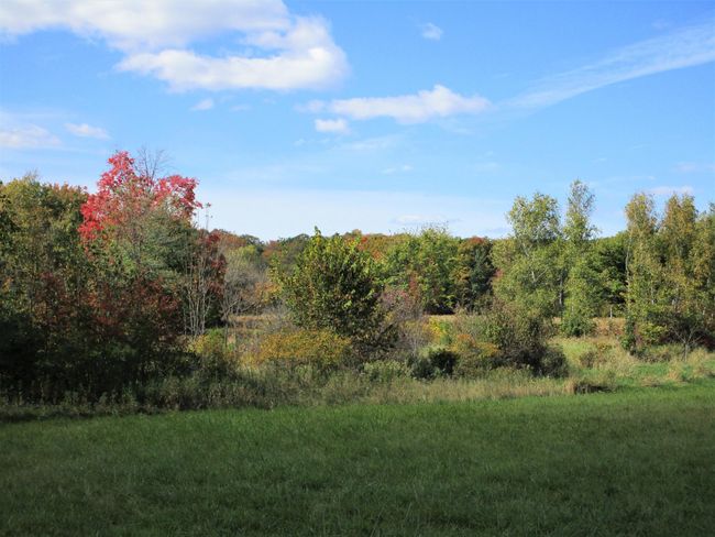 Larger Pond In Front | Image 24