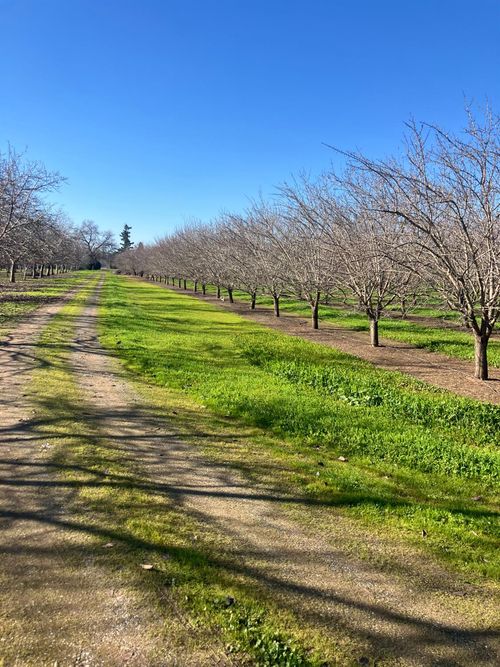 1935 Warnock Way, Durham, CA, 95938-9626 | Card Image