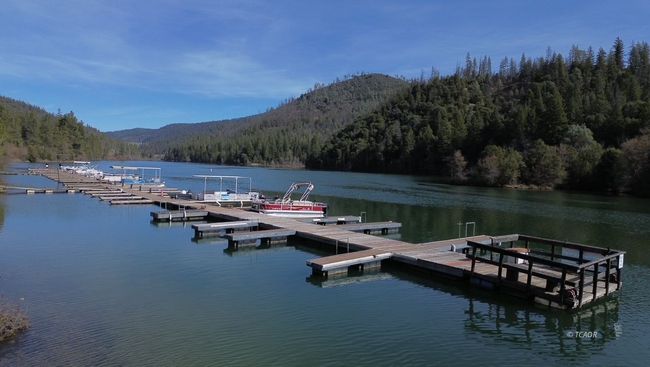 The Dock | Image 15
