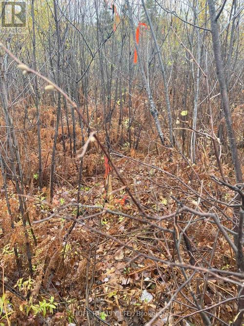 Lt 1 Con 6 54r-6390 Lot 1 Con 6 Marter Twp Road, Englehart (Central Timiskaming), ON, P0J1H0 | Card Image