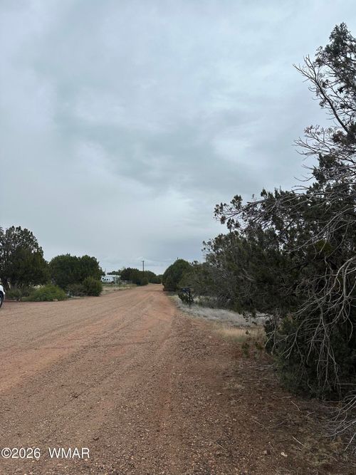 8427 Cochise Cir, Show Low, AZ, 85901-7001 | Card Image