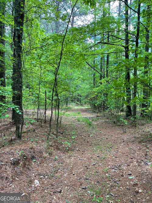 0 Mann Rd, Tyrone, GA, 30290 | Card Image