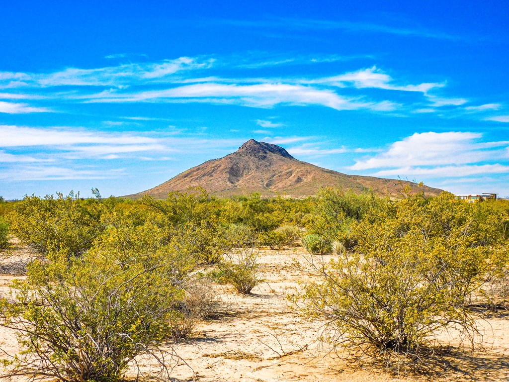 Land in Terlingua 2