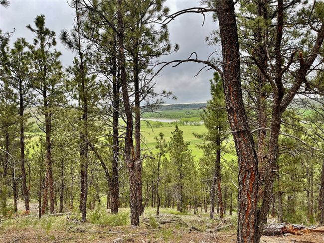 69 Colter Trl, Home with 0 bedrooms, 0 bathrooms and null parking in Columbus MT | Image 16