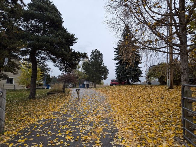 View of paved driveway | Image 9