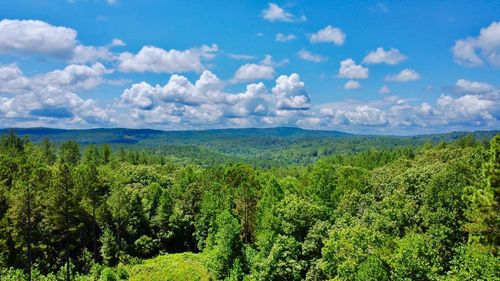 59 Seven Mile Creek Road, Ellijay, GA, 30175 | Card Image