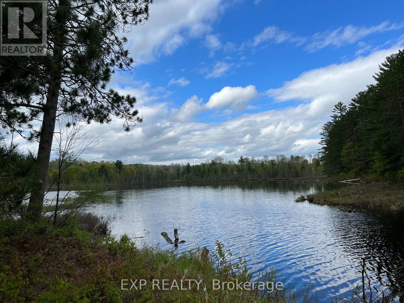 Land in Madawaska Valley 4