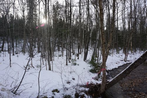 13181 Redding Road, Woodstock, ME, 04219 | Card Image