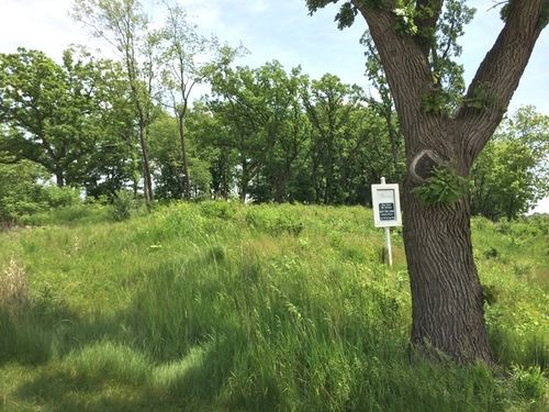 lot-20-Lot 20 , 1221 Ridgemoor Trl, Bull Valley, IL, 60098-7961 | Card Image