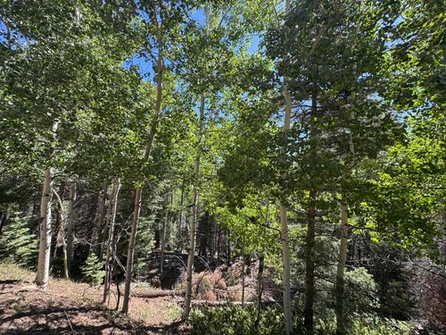 Lot 721 Santo Domingo Trl, Angel Fire, NM, 87710 | Card Image