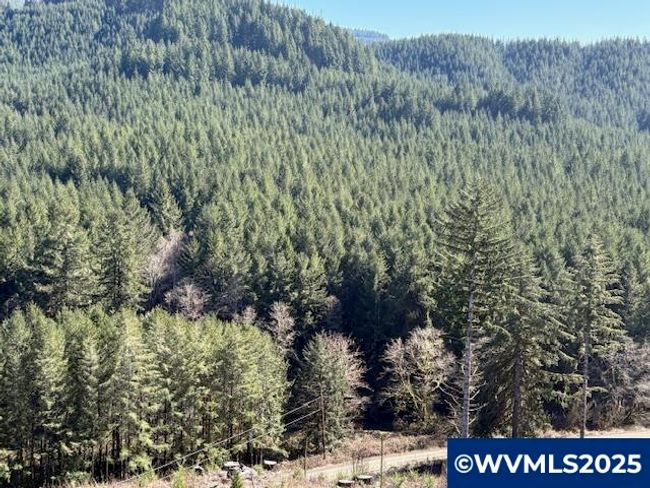 0 Logsden Rd, Home with 0 bedrooms, 0 bathrooms and null parking in Blodgett OR | Image 5