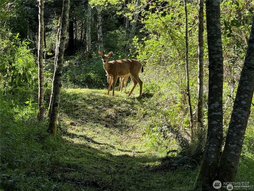 0 State Route 20, Port Townsend, WA, 98368 | Card Image