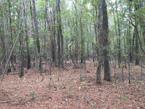 40 Acres Sulphur Springs Rd, Pine Bluff, AR, 71603 | Card Image