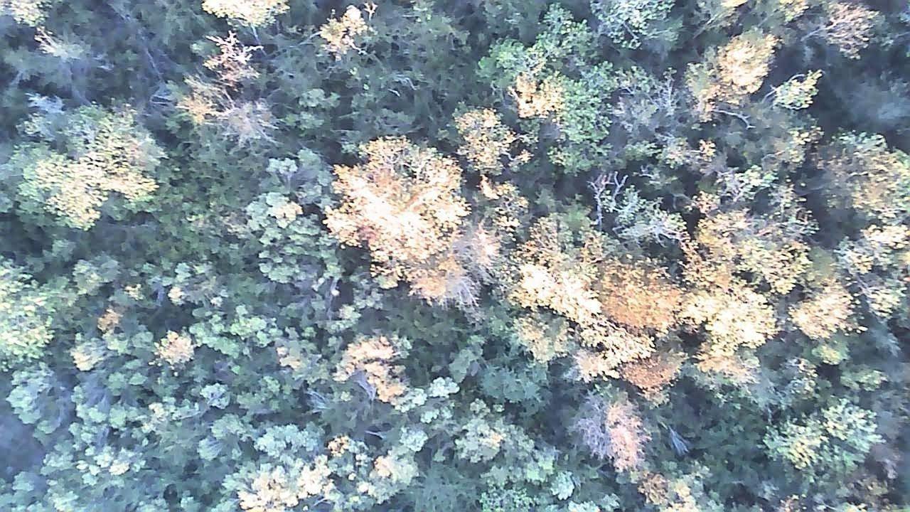 Land in Houston