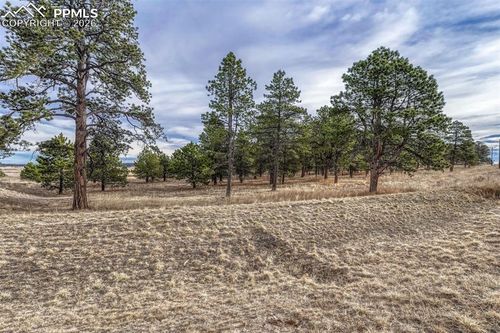 16511 Early Light Dr, Colorado Springs, CO, 80908-1698 | Card Image