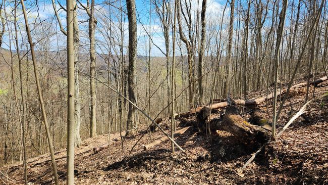 TRACT-1-PIKE-LAKE-GETAWA - 0 Pike Lake Rd, Home with 0 bedrooms, 0 bathrooms and null parking in Bainbridge OH | Image 45