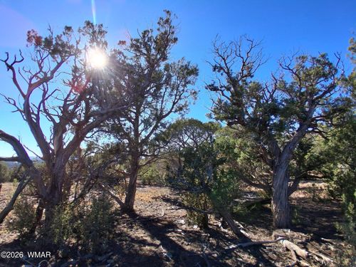 0203 County Rd, Concho, AZ, 85924 | Card Image