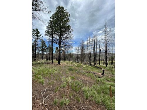 533 Leslie Loop, Fort Garland, CO, 81133-9755 | Card Image