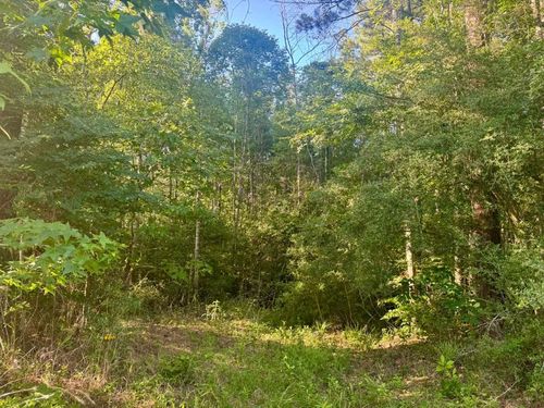 TBD County Road 1039, Burkeville, TX, 75932-9999 | Card Image