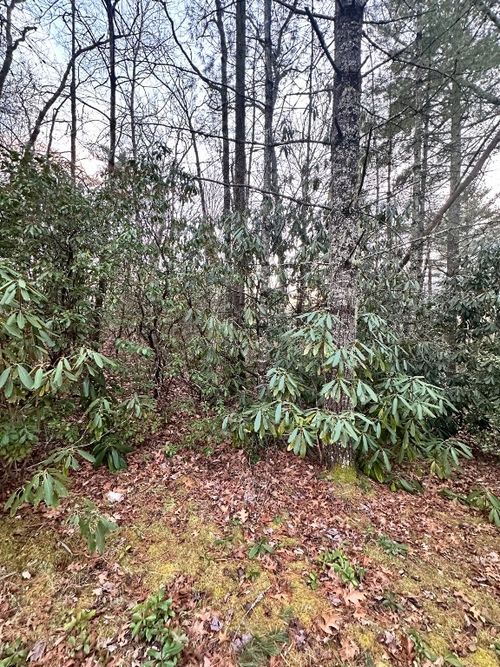 0 Hedden Ln, Highlands, NC, 28741 | Card Image