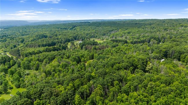 0 Klutz Cors, Home with 0 bedrooms, 0 bathrooms and null parking in Branchport NY | Image 8