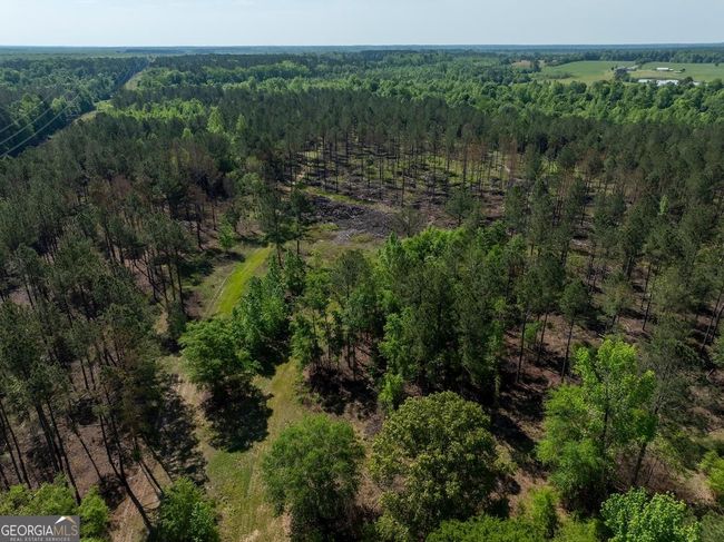 6053 Sun Hill Grange Rd, Home with 0 bedrooms, 0 bathrooms and null parking in Davisboro GA | Image 114