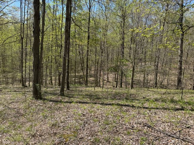 view of landscape featuring a wooded view | Image 37