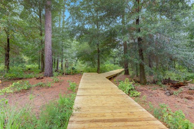 [Memorial Park] You will have miles of walking, running and exercise trails nearby | Image 42