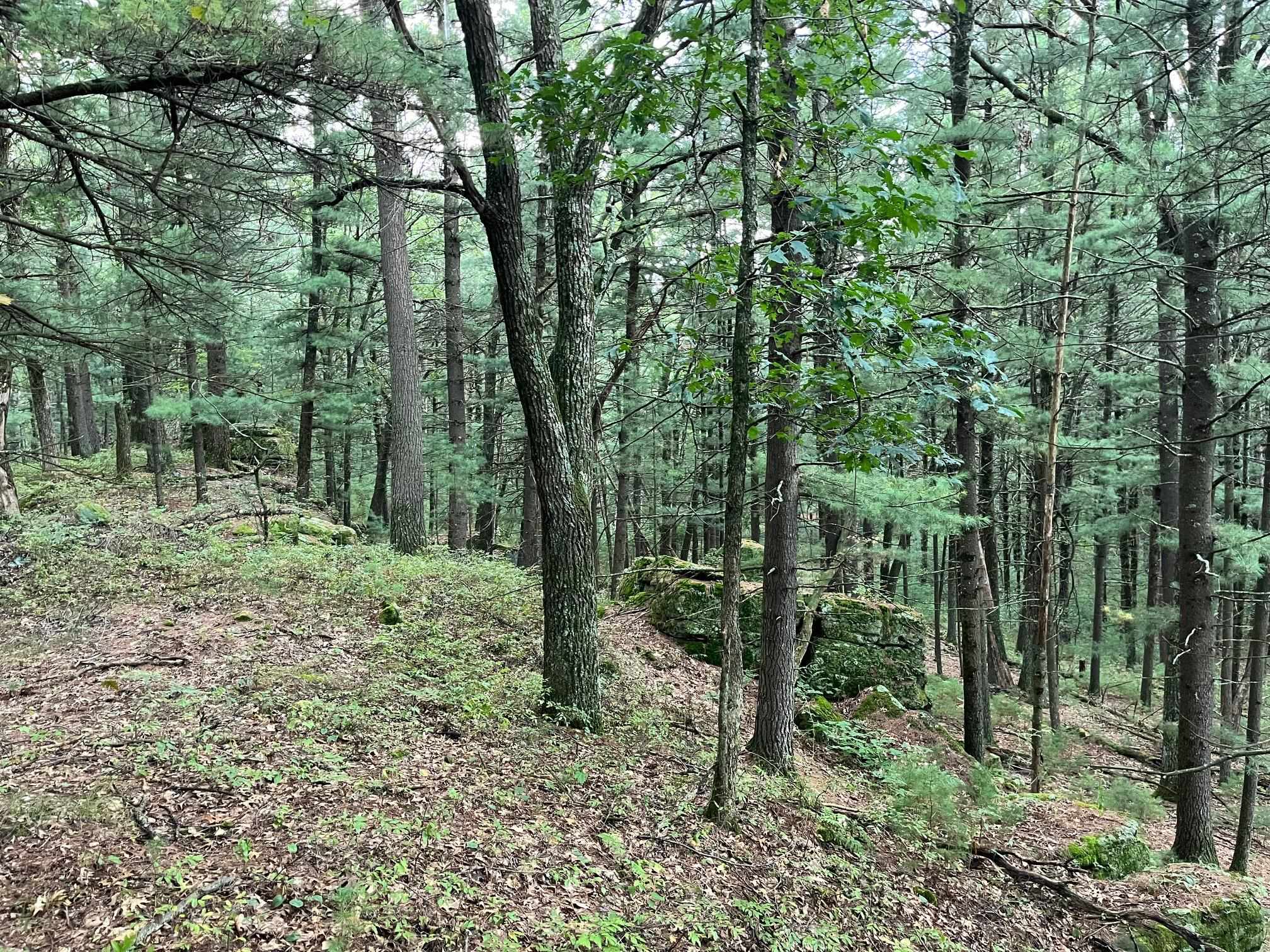 Evergreen Dr, Grand Marsh, WI 53936