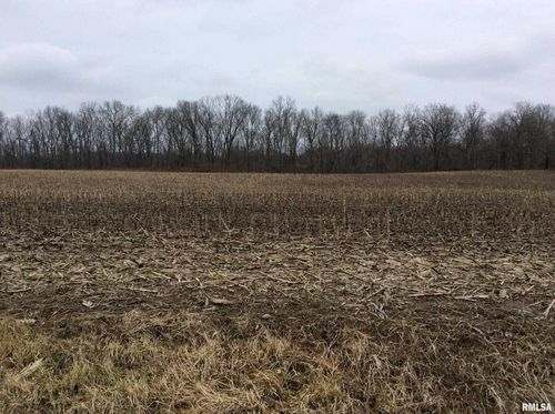 0000 Kell Rd, Kell, IL, 62853 | Card Image