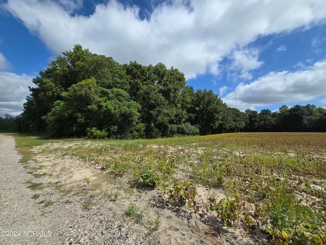 0 Mcnair Rd, Home with 0 bedrooms, 0 bathrooms and null parking in Plymouth NC | Image 16