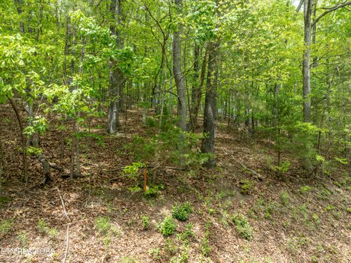 211 Wahuhu Ln, Loudon, TN, 37774-2856 | Card Image