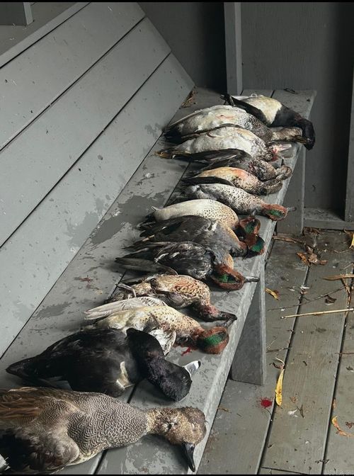 00 Sfc 431, Widener, AR, 72394 | Card Image