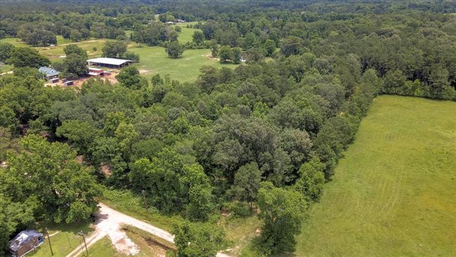 00 Lloyd Fregia Road, Home with 0 bedrooms, 0 bathrooms and null parking in Batson TX | Image 6