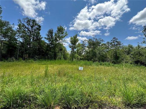 Lot 1 The Banks Dr, Hwy 16 Highway, Franklinton, LA, 70438 | Card Image