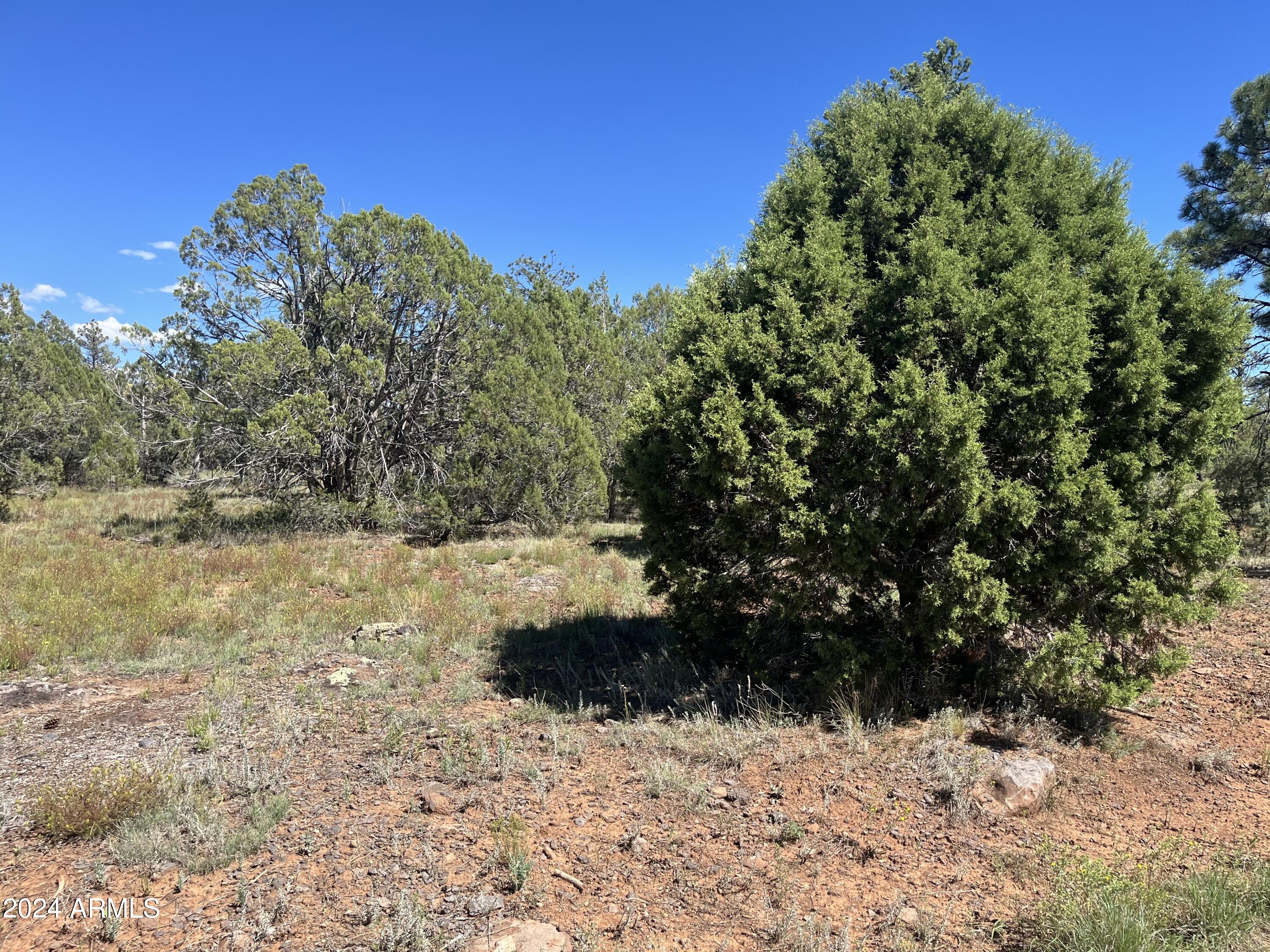 Land in Lakeside 4