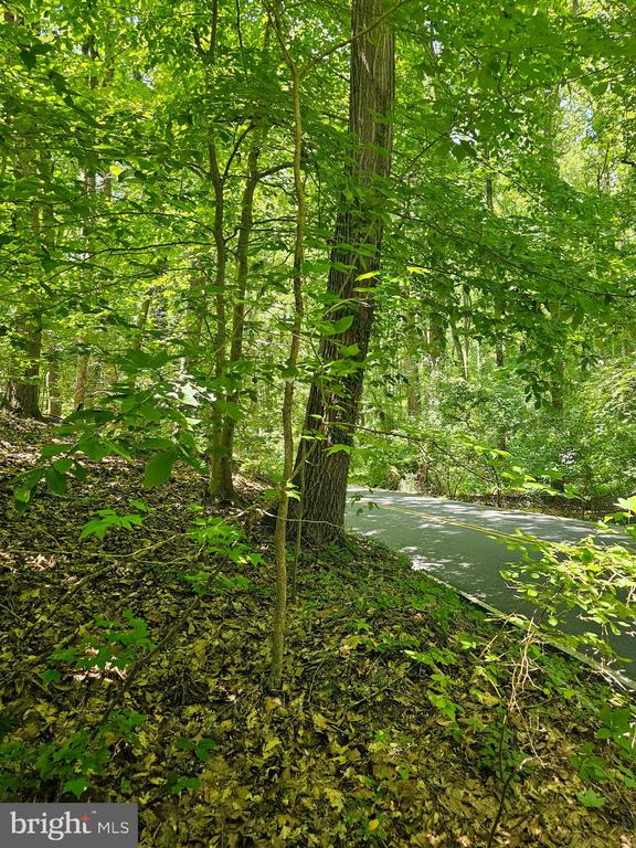 Land in CROWNSVILLE 4