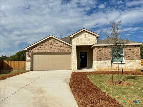 447 Butterfly Bush Ct, New Braunfels, TX, 78130-0329 | Card Image
