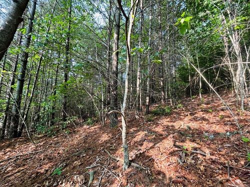 TBD Claudville Hwy, Claudville, VA, 24076 | Card Image