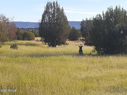 --32018 W Calle Ines, Seligman, AZ, 86337 | Card Image