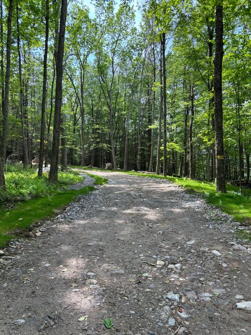 Lot 4 Chalybes Rd W, Roxbury, CT, 06783-1415 | Card Image