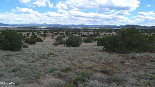 24 County Road 8009, Concho, AZ, 85924 | Card Image