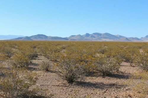 3-17 Willow Springs Ranch Rd, Magdalena, NM, 87825 | Card Image