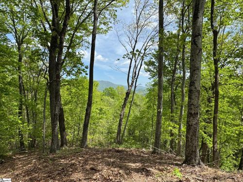 100 Wood Violet Trl, Marietta, SC, 29661-5182 | Card Image