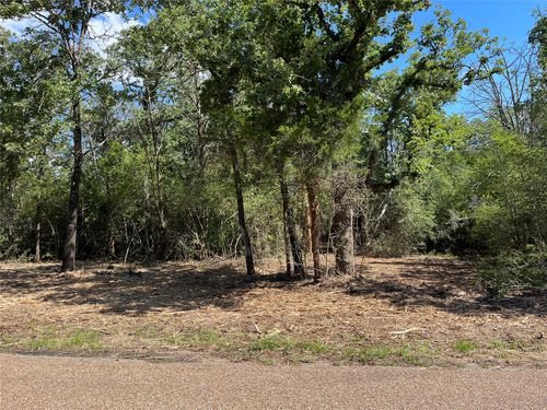 TBD Old Lockhart Road, Plum, TX, 78952 | Card Image