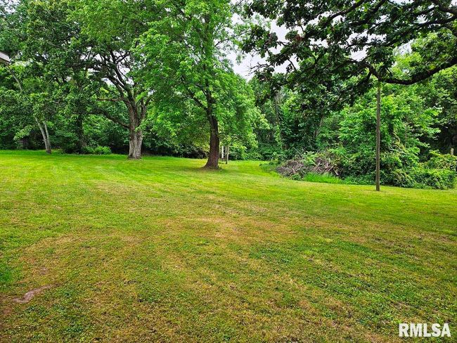 13973 Halliday Rd, Home with 2 bedrooms, 1 bathrooms and null parking in Plainview IL | Image 60